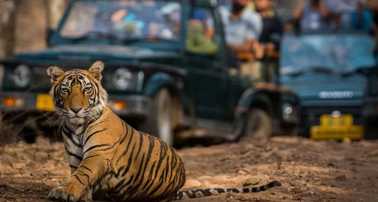 Golden Triangle Tour With Ranthambore