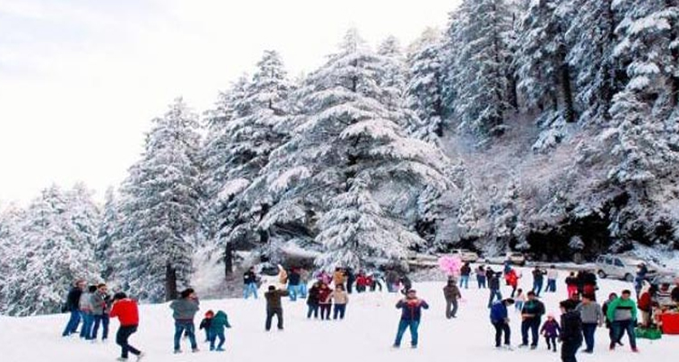 6 Days Shimla Manali package